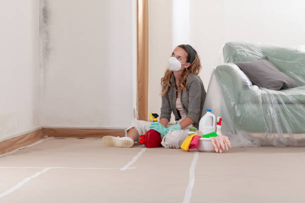 Reliable Mold Removal contractor in Forest Park, GA by WQB Mold Removal